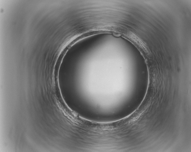 X0000060260884200511010910