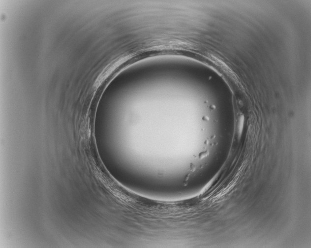 X0000060260885200511010910