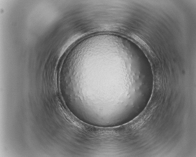 X0000060260886200511010910