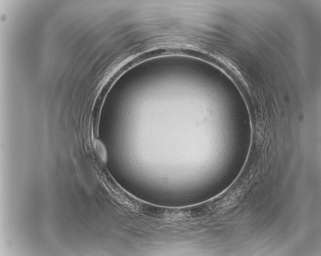 X0000060260887200511010910