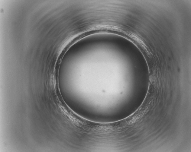 X0000060260888200511010910