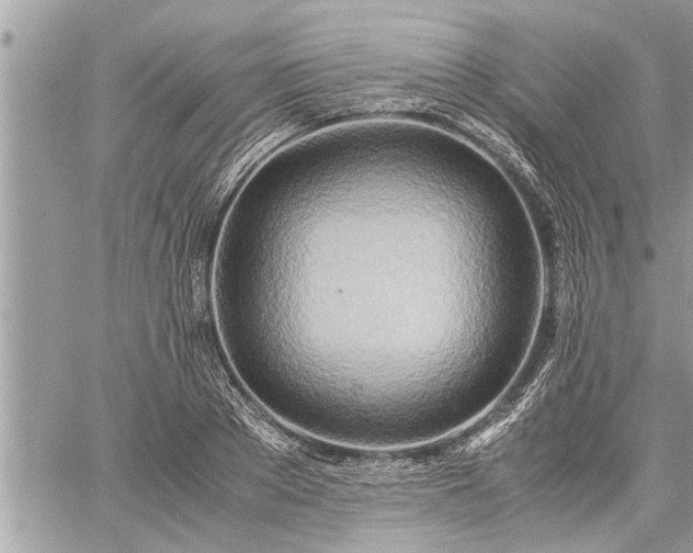 X0000060260889200511010910