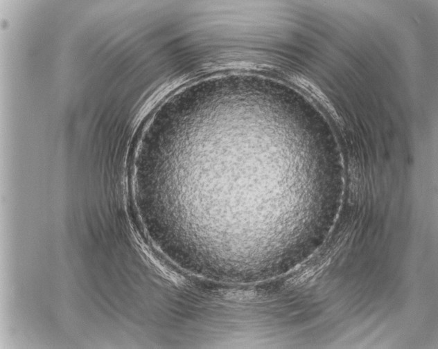 X0000060260890200511010910