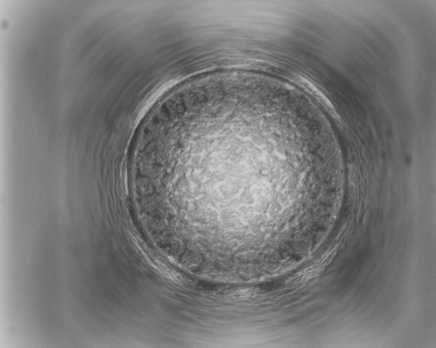 X0000060260891200511010910