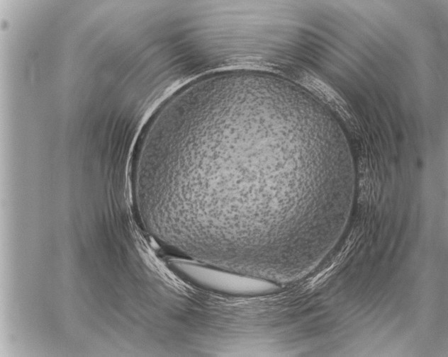 X0000060260892200511010910