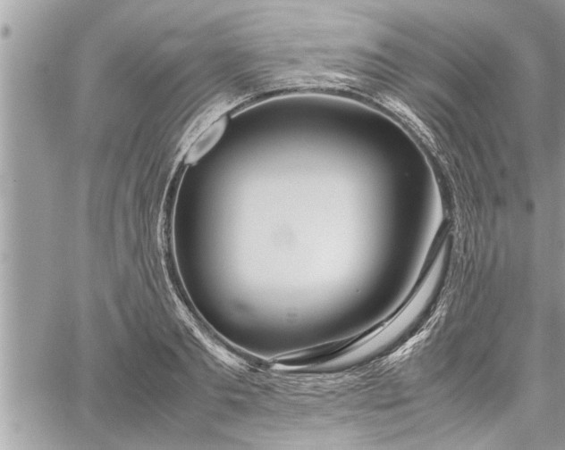 X0000060260893200511010910