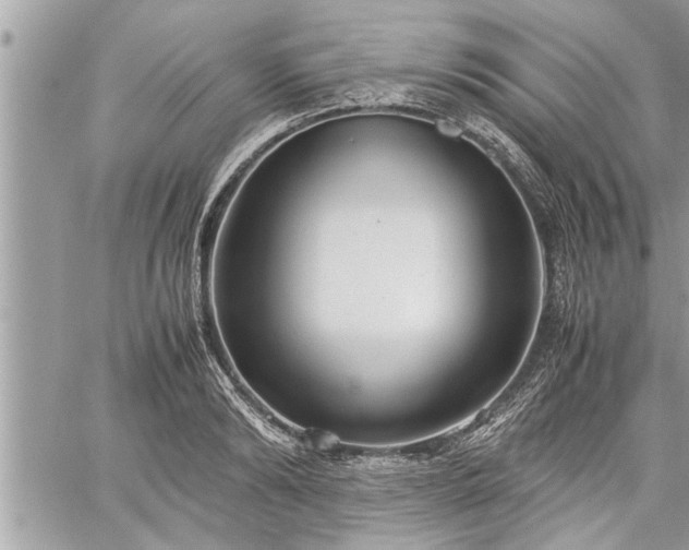 X0000060260894200511010910