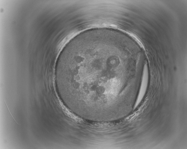 X0000060260895200511010910