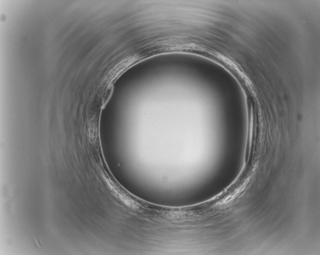 X0000060260897200511010910