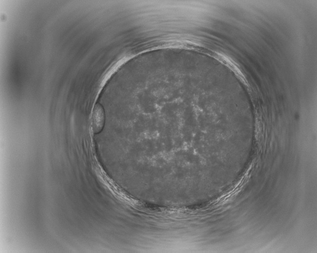 X0000060260899200511010910