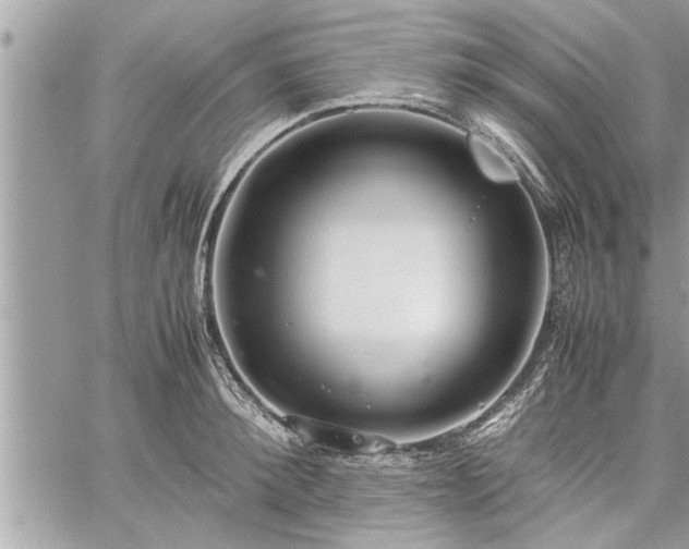 X0000060260900200511010910