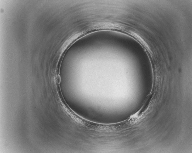 X0000060260901200511010910