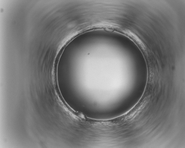 X0000060260902200511010910