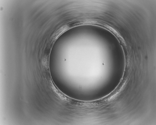 X0000060260905200511010910