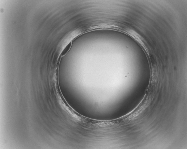 X0000060260906200511010910