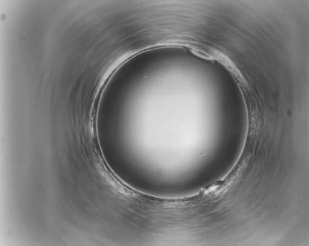 X0000060260908200511010910