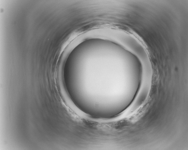 X0000060260909200511010910