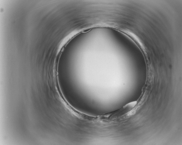 X0000060260910200511010909