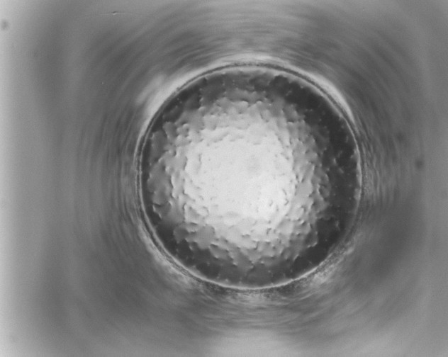 X0000060260911200511010909