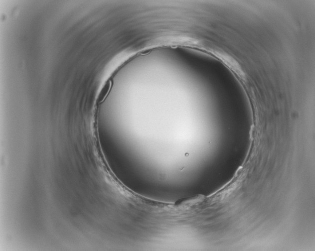 X0000060260912200511010909