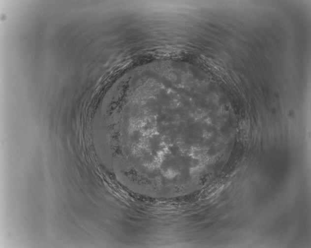 X0000060260913200511010909