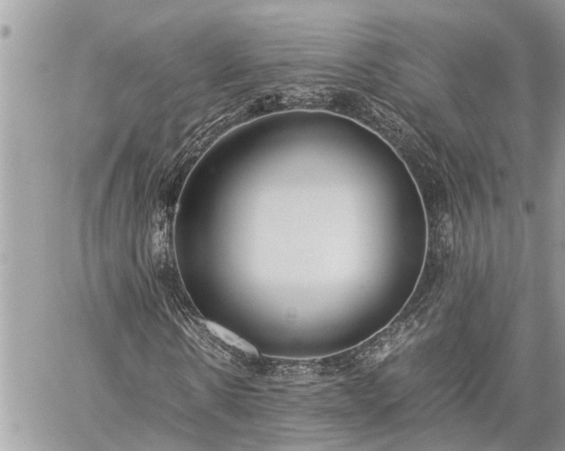 X0000060260914200511010909