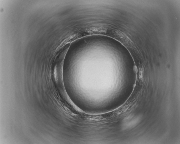 X0000060260915200511010909