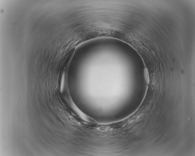 X0000060260916200511010909