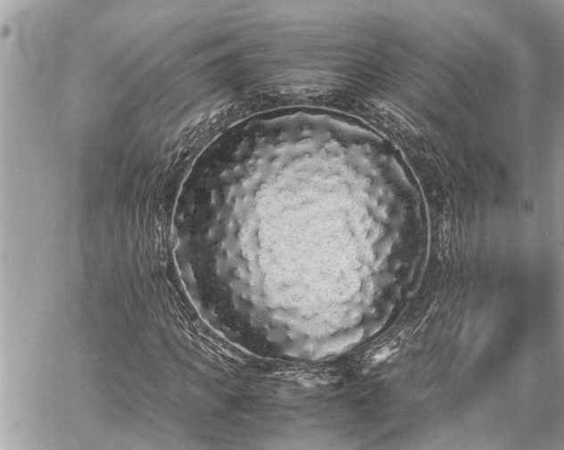 X0000060260917200511010909