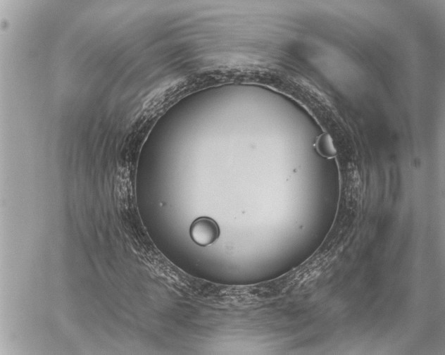 X0000060260918200511010909