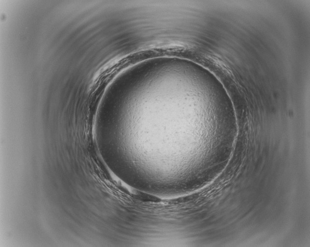 X0000060260920200511010909