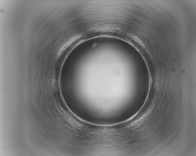 X0000060260922200511010909