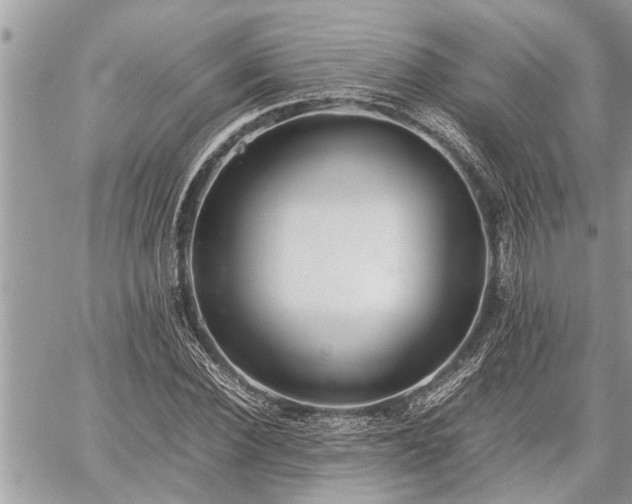 X0000060260924200511010909