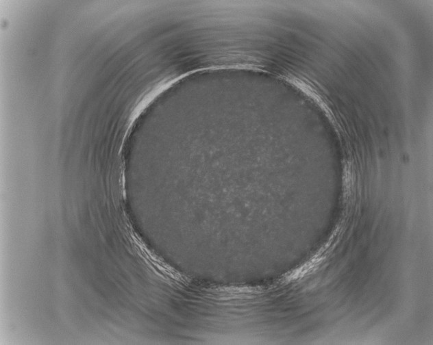 X0000060260925200511010909