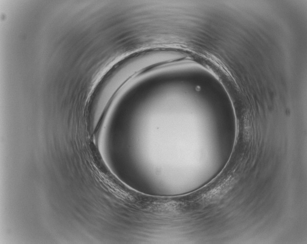 X0000060260926200511010909