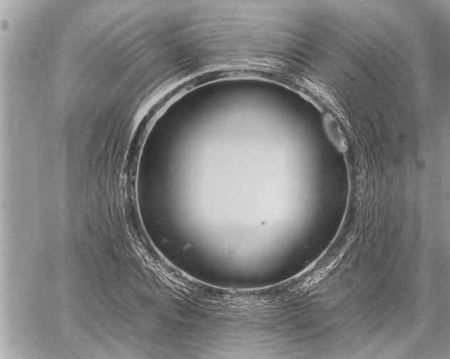 X0000060260928200511010909