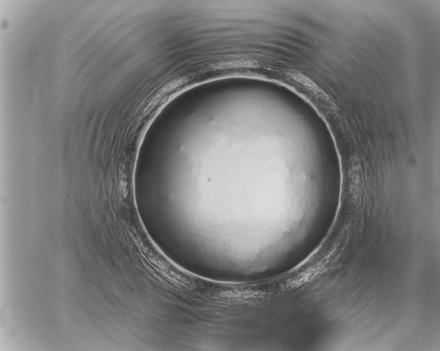 X0000060260929200511010909