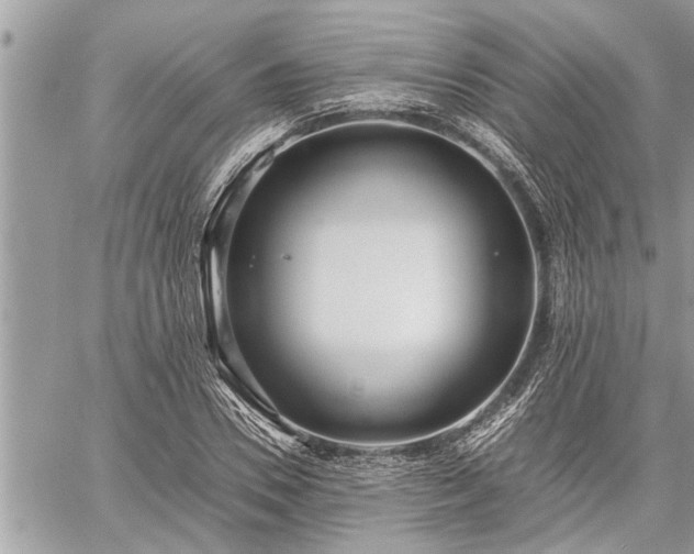 X0000060260930200511010909