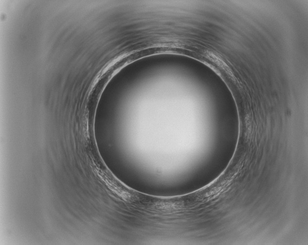 X0000060260931200511010909