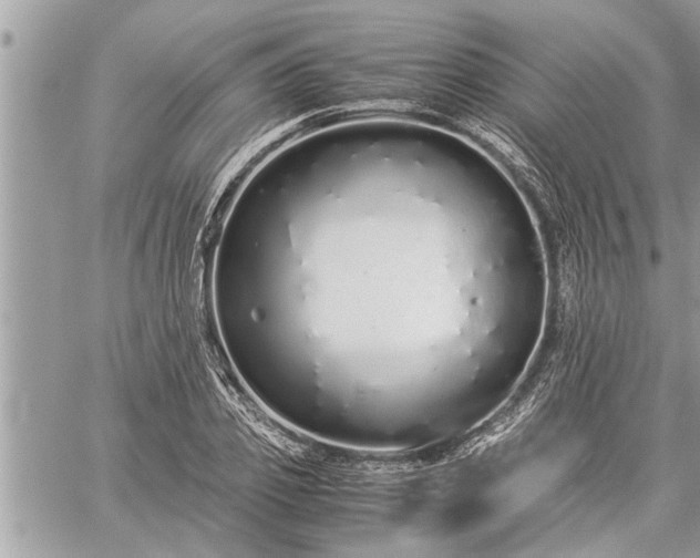 X0000060260933200511010909