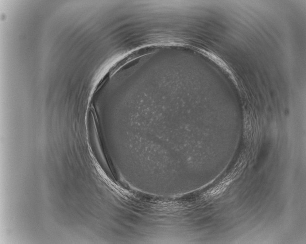 X0000060260935200511010909