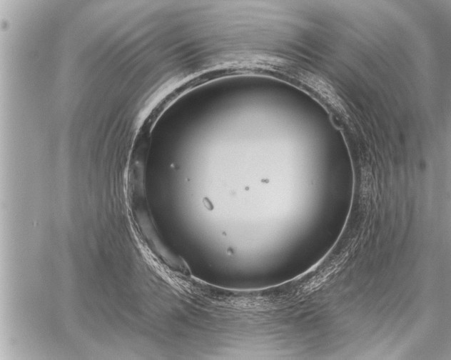 X0000060260936200511010909