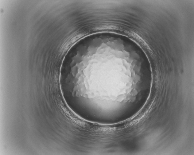 X0000060260937200511010909