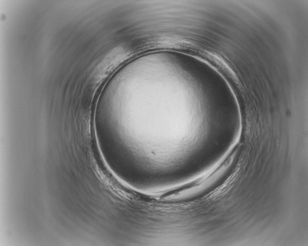 X0000060260938200511010909