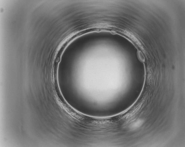 X0000060260939200511010909