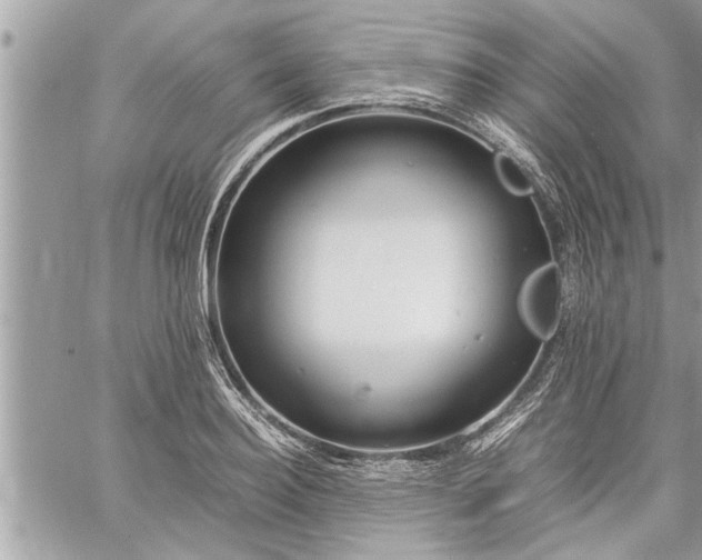 X0000060260940200511010909