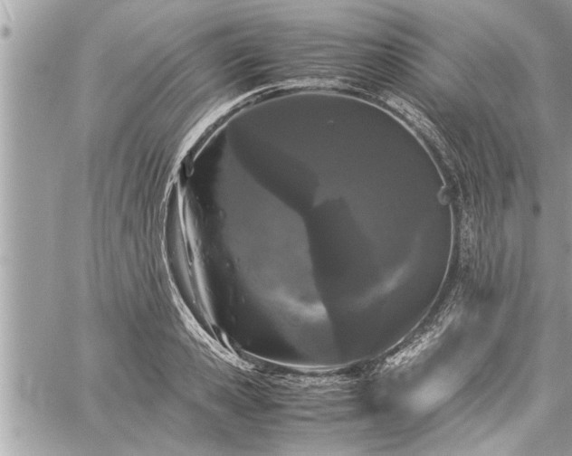 X0000060260941200511010909