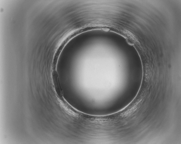 X0000060260942200511010909