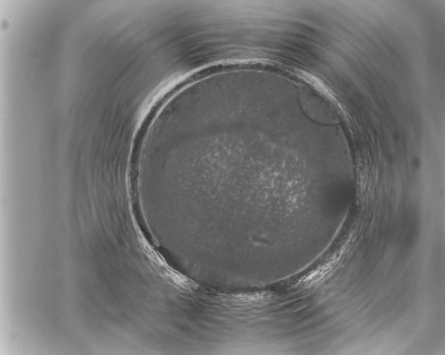 X0000060260943200511010909