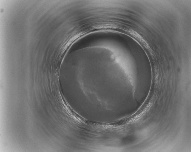 X0000060260945200511010909